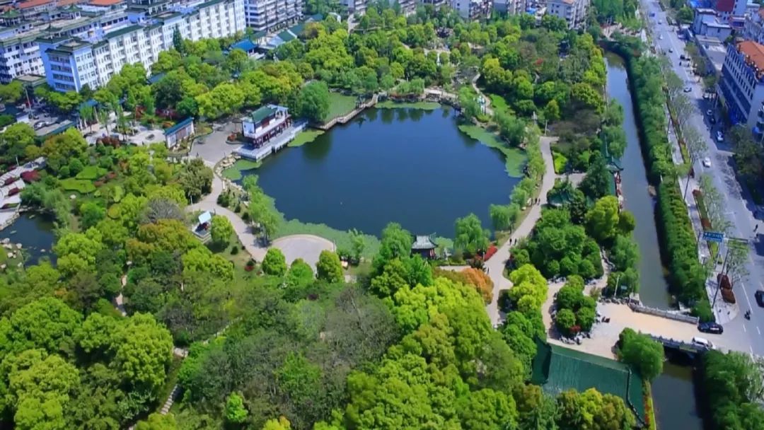 海门市中医院《我和我的祖国》献礼祖国70华诞!