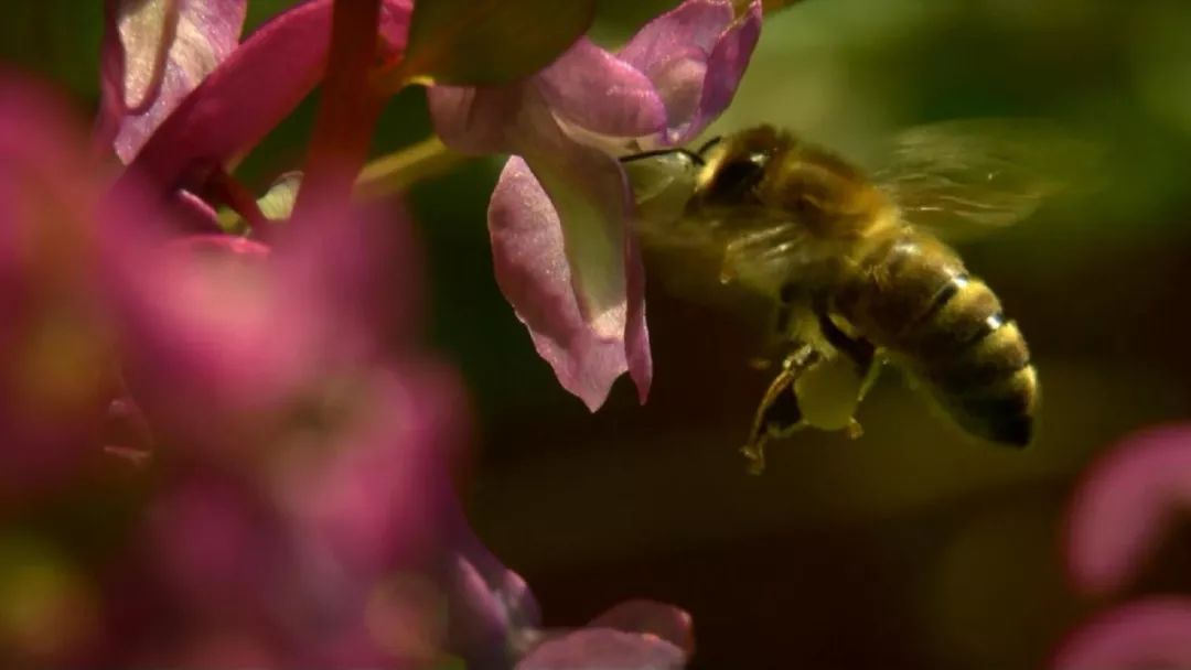 海门市中医院《我和我的祖国》献礼祖国70华诞!
