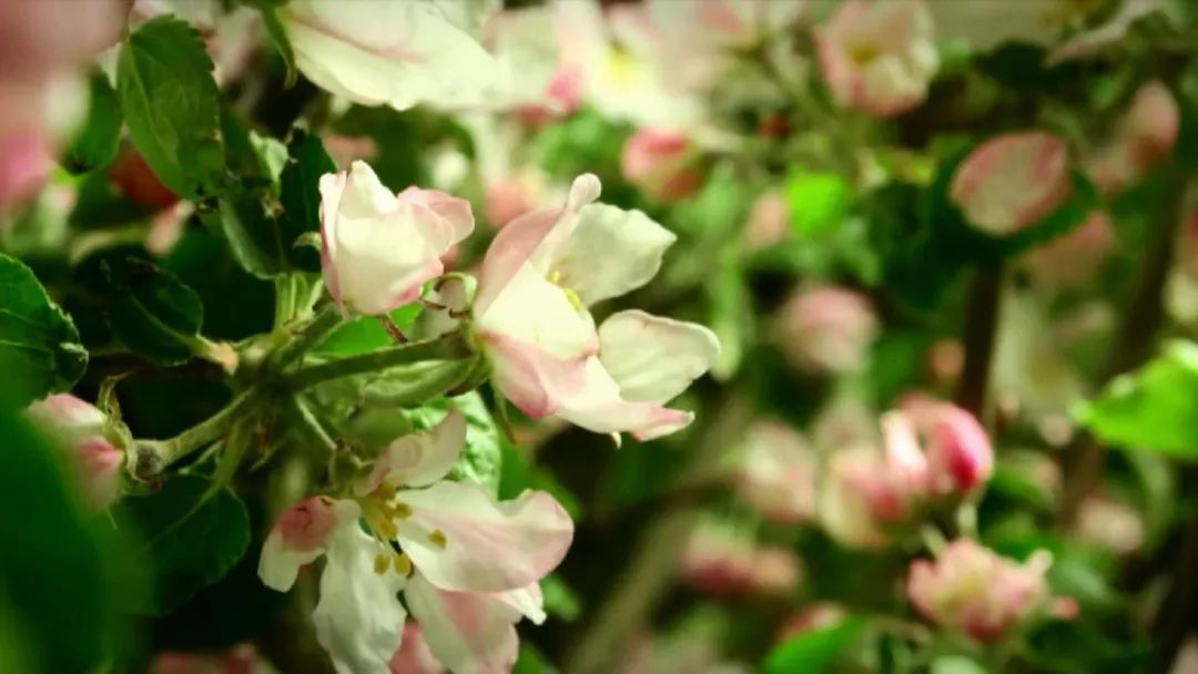 海门市中医院《我和我的祖国》献礼祖国70华诞！