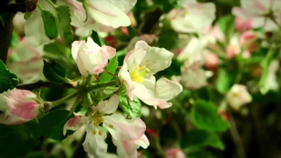 海门市中医院《我和我的祖国》献礼祖国70华诞!