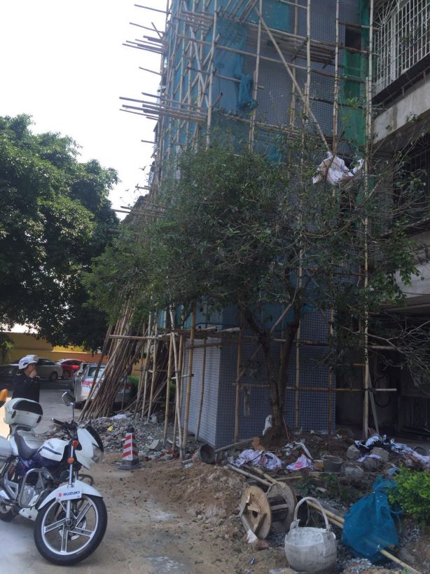 健身房老板跑路被抓了,健身房老板跑路起诉能有什么结果