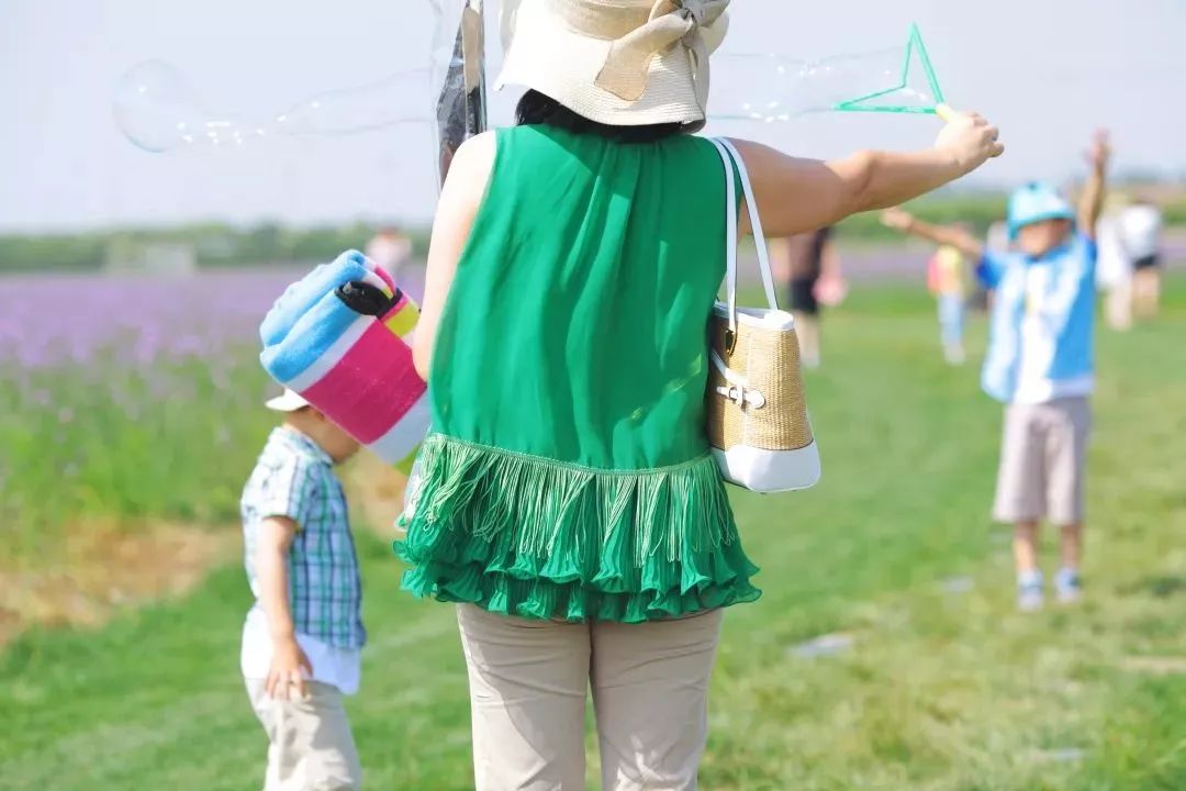薰衣草花海活动,崇明岛薰衣草节门票价格