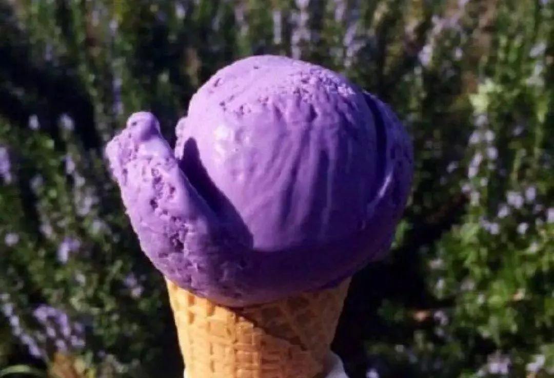 薰衣草花海活动,崇明岛薰衣草节门票价格