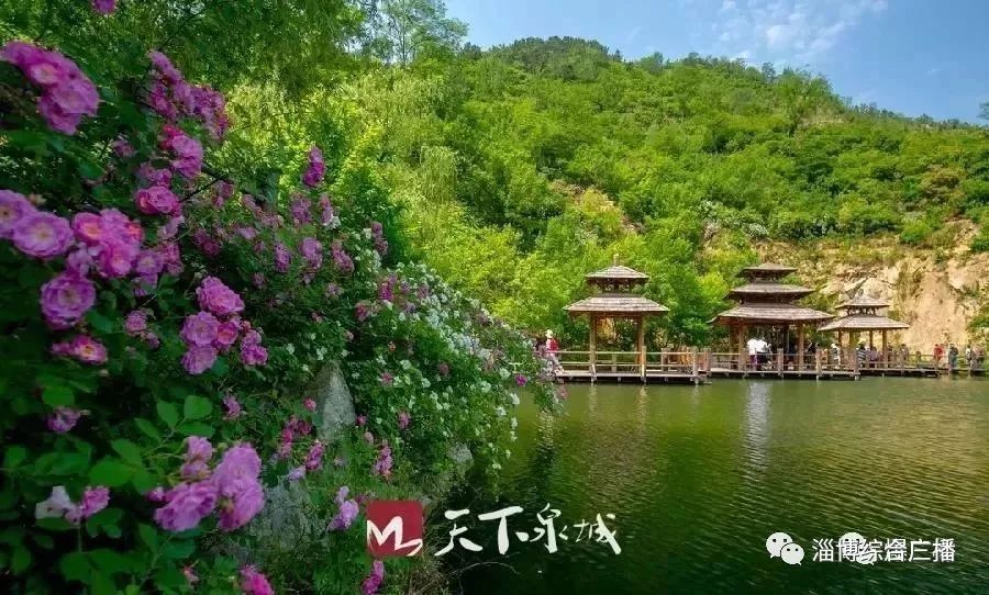 济南景区半价或者免费游,济南19家景区推出半价优惠