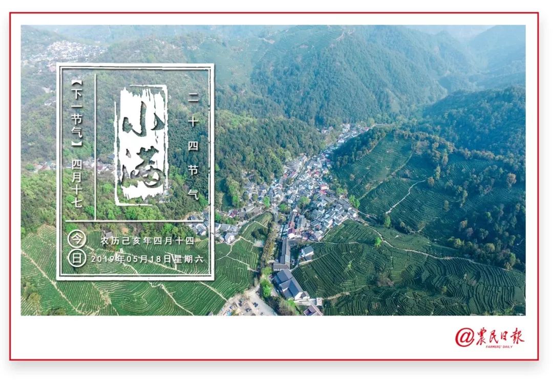 茶博会丨西子湖畔共享一杯茶