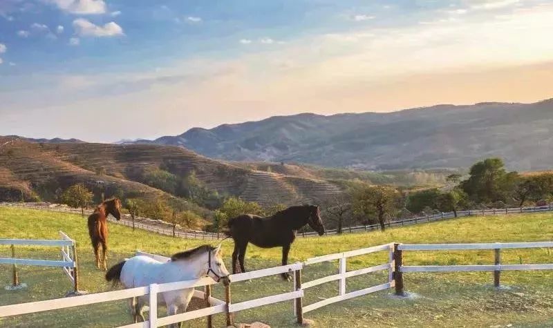 中国旅游日景区半价活动,旅游日半价景点西安