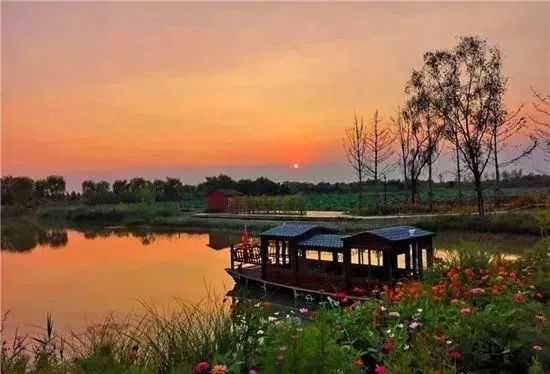 中国旅游日景区半价活动,旅游日半价景点西安