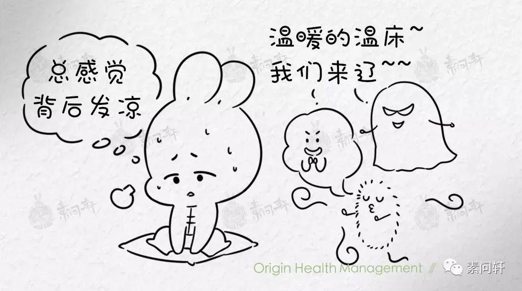 如何判断湿热还是湿寒体质,怎么判断是湿热体质