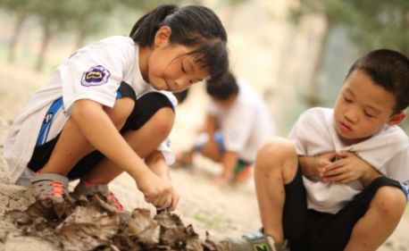 暑假攻略——2019暑期KBR-KIDS训练营！