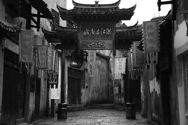 杨竹秋洪江,杨竹秋