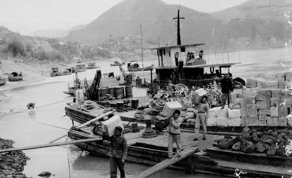 杨竹秋洪江,杨竹秋