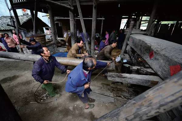 杨竹秋洪江,杨竹秋