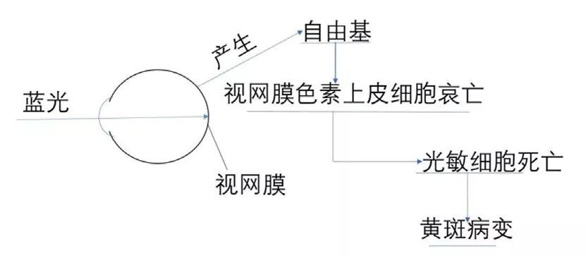LED灯可诱发失明？关于蓝光危害，这些人务必当心！
