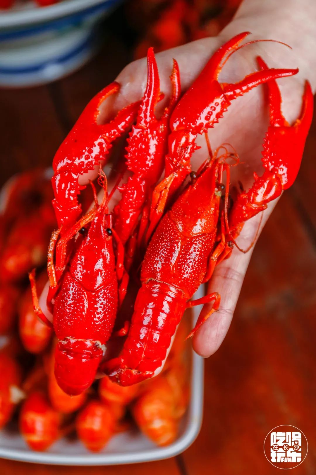 闀挎矙姝ヨ琛楃綉绾㈡墦鍗″湴閰掗,闀挎矙鎾镐覆