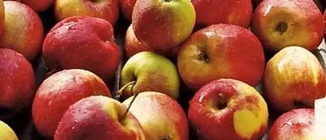 苹果批发一斤挣多少,苹果批发价格会涨吗