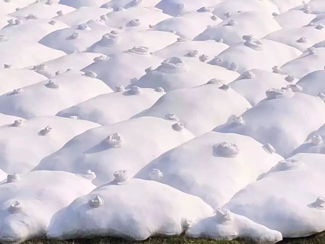 “可持续发声”的艺术，用“意想不到”告诉你什么叫“环保”