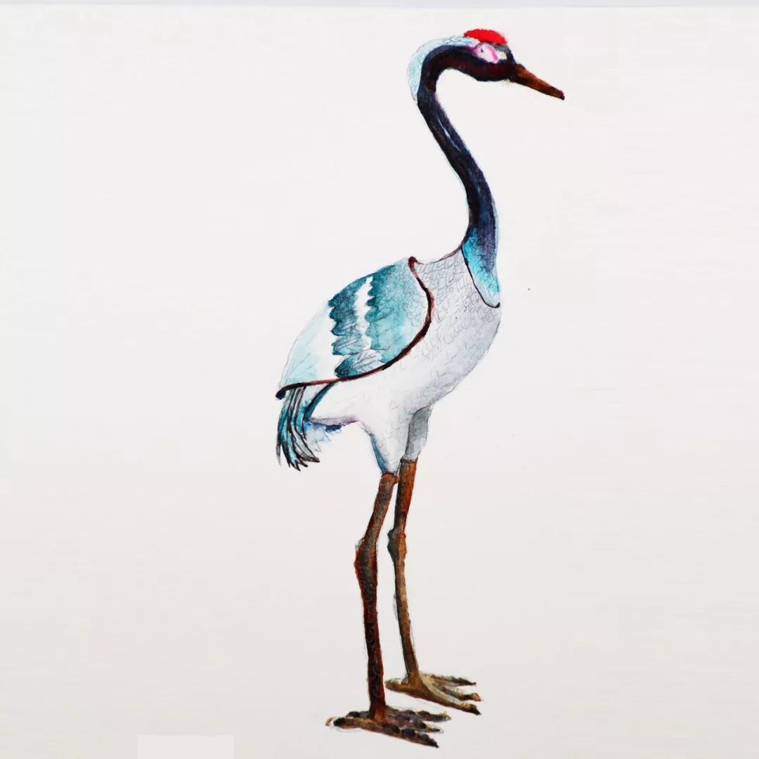 穿越！我眼中的TA，是这样的……