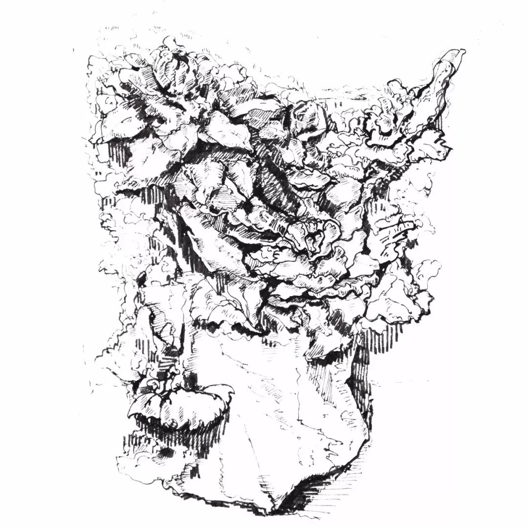 穿越!我眼中的TA,是这样的……