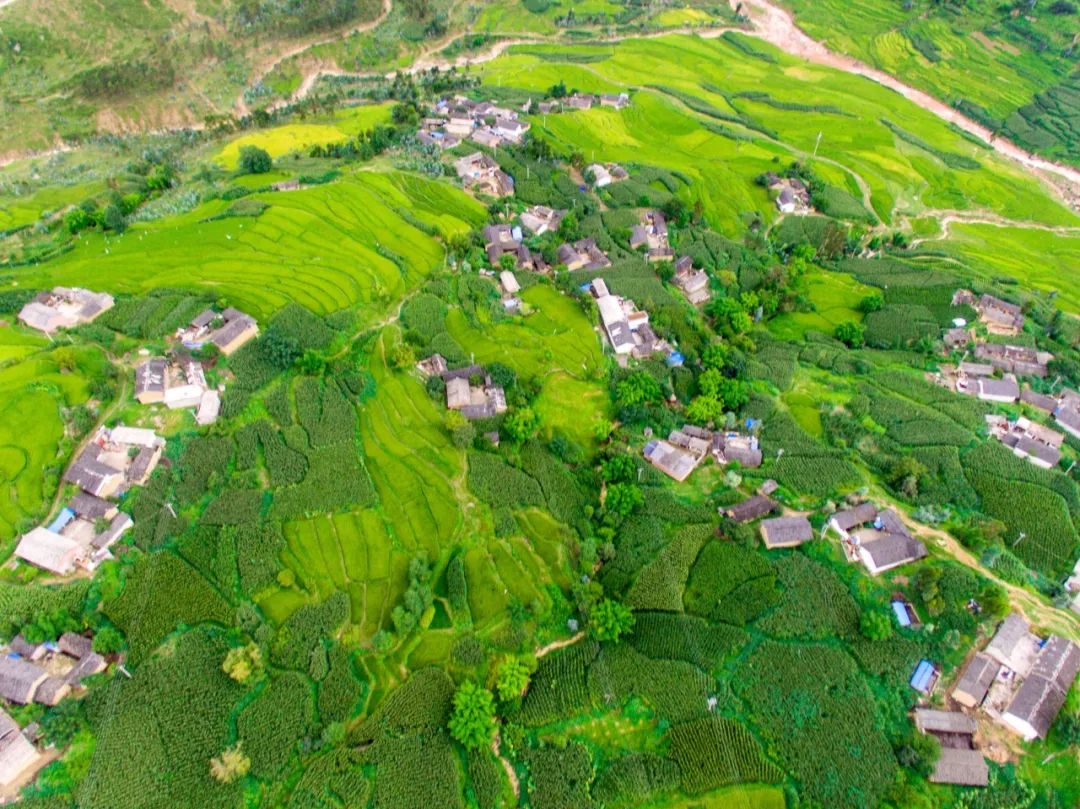被遗留在丽江一块名为他留梯田的翡翠