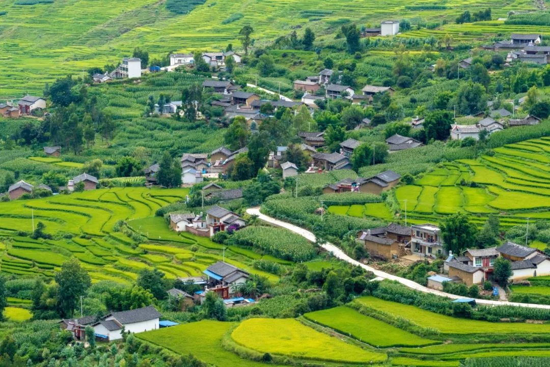 被遗留在丽江一块名为他留梯田的翡翠