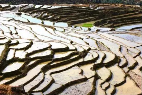 被遗留在丽江一块名为他留梯田的翡翠