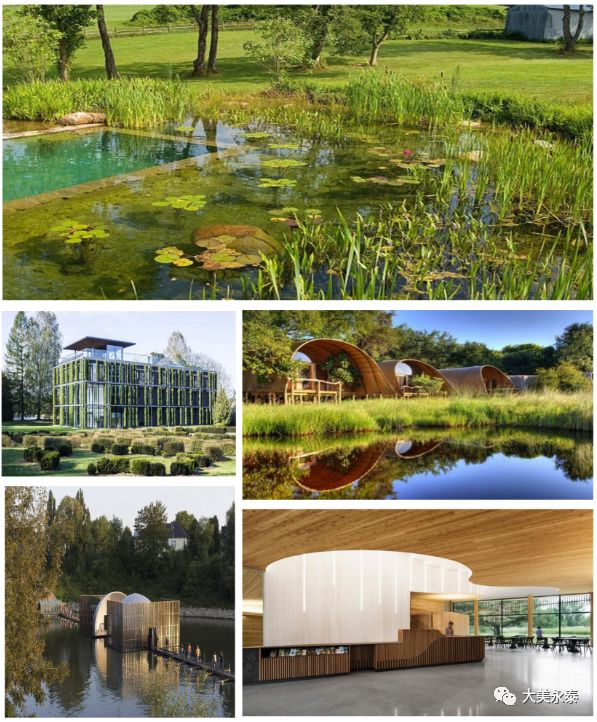 福州永鸿野生动物园重磅升级,福州长隆野生动物园