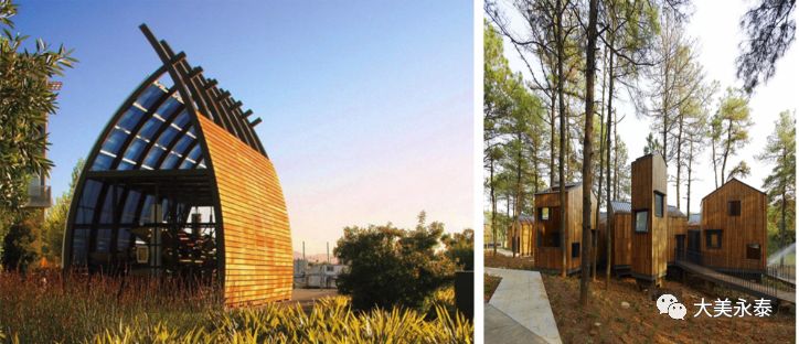 福州永鸿野生动物园重磅升级,福州长隆野生动物园