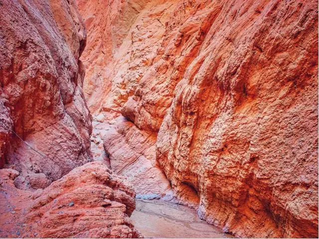 幻塔征途最新视频,环塔之旅视频