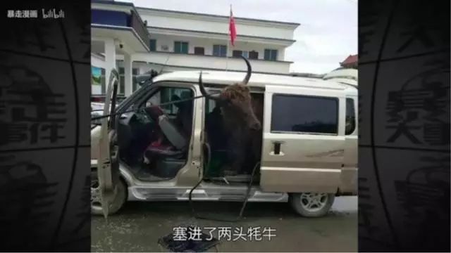 拼多多卖二手车,特斯拉在拼多多上卖车