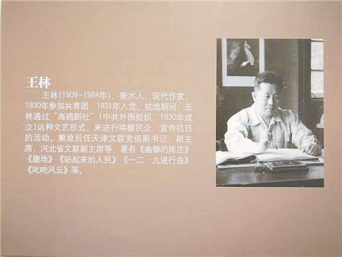 王林的传奇一生,王林有几个名字