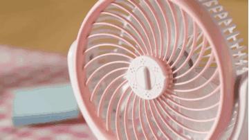 闪购|网红风扇专场，二宝爸给你们找全了，这个夏天就靠它们啦