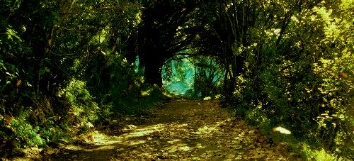 闪购|网红风扇专场,二宝爸给你们找全了,这个夏天就靠它们啦