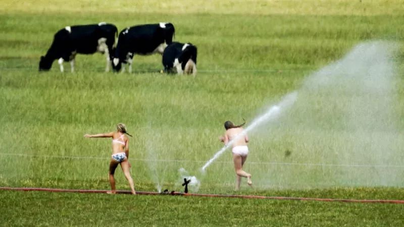 别顾着烧烤,请关注荷兰的气候变化,会出现南欧那样的气候吗?