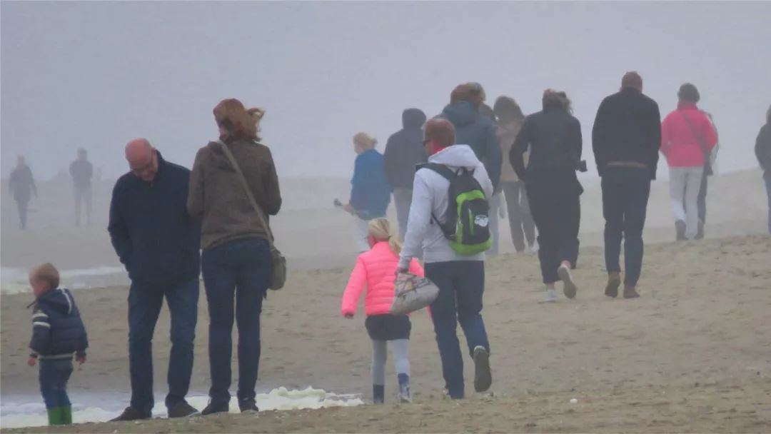 别顾着烧烤,请关注荷兰的气候变化,会出现南欧那样的气候吗?