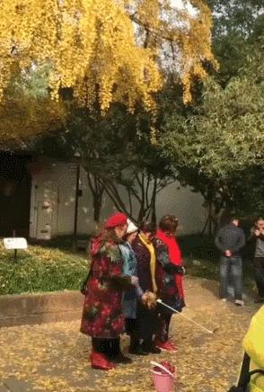 中国时髦大妈天秀姿势全解