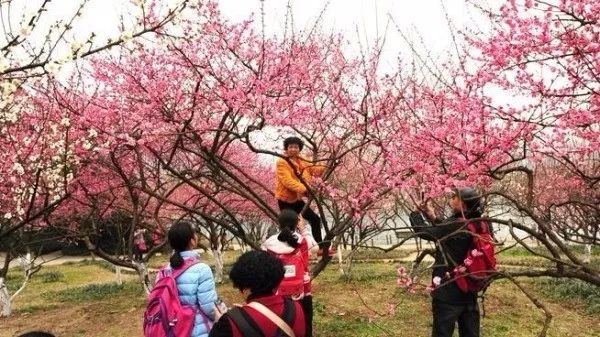 中国时髦大妈天秀姿势全解