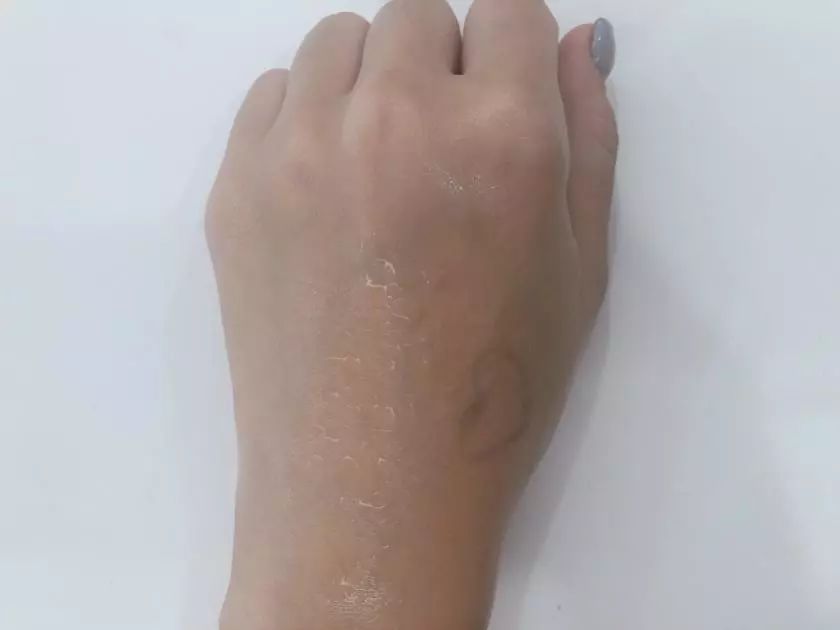 10款热门气垫,10款超好用的大牌气垫干皮