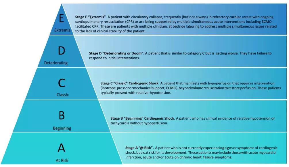 急性心力衰竭指南共识,心源性休克的分级和专家共识