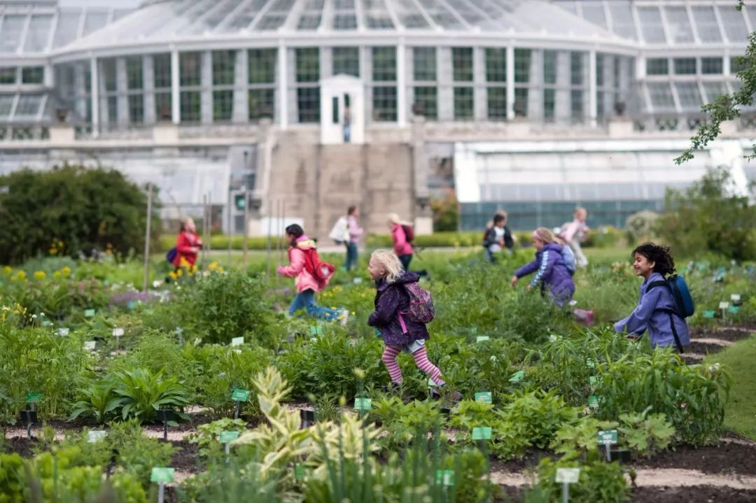 成天让娃在外面玩,丹麦教育为啥还能世界领先