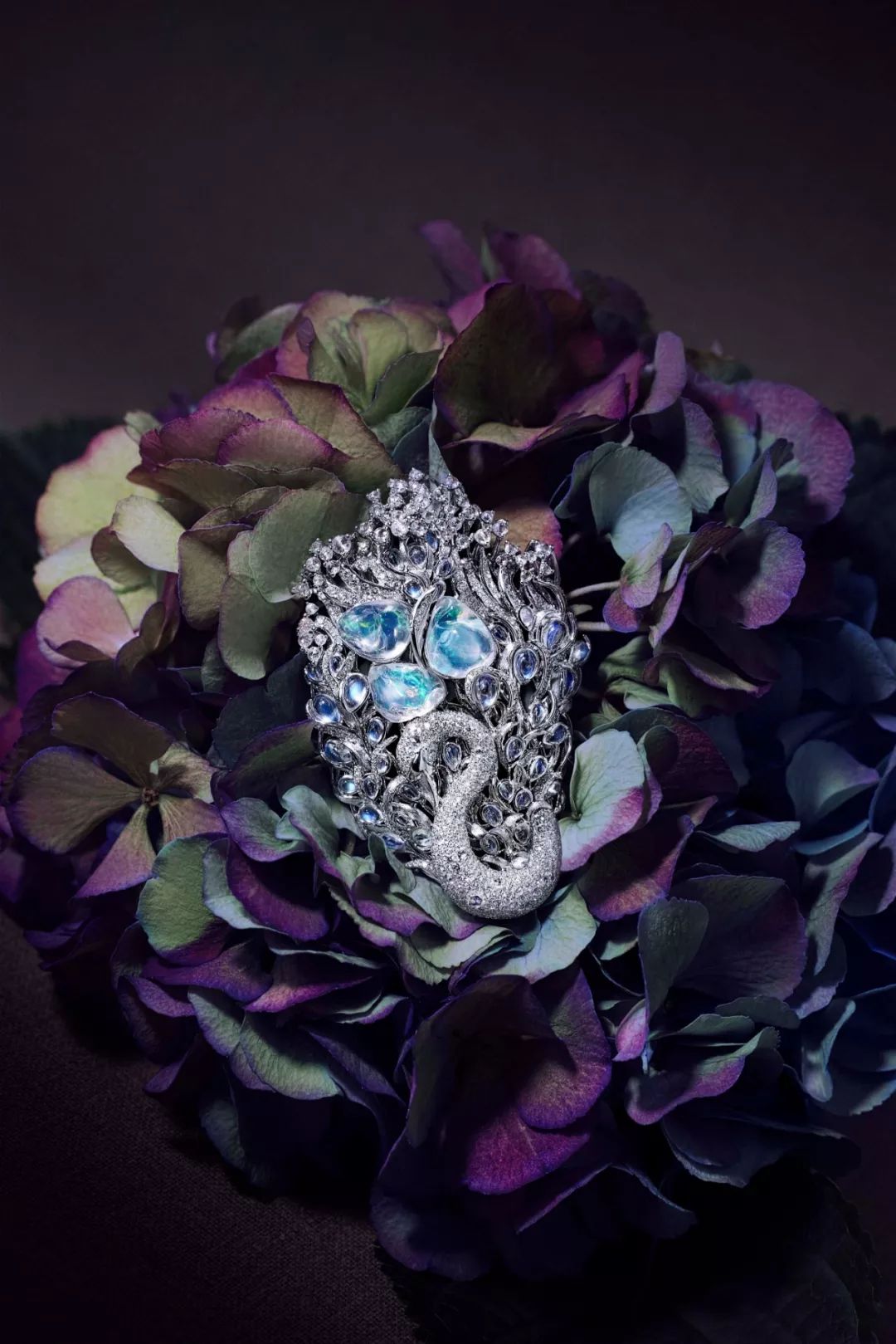 错过再等一年合适吗,错过最后半个月再等一年