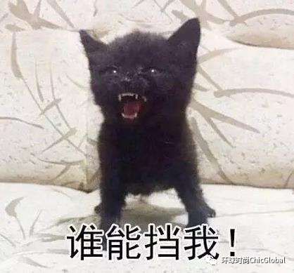 那些年我们追过的国产动画,那些年我们不知道的国货