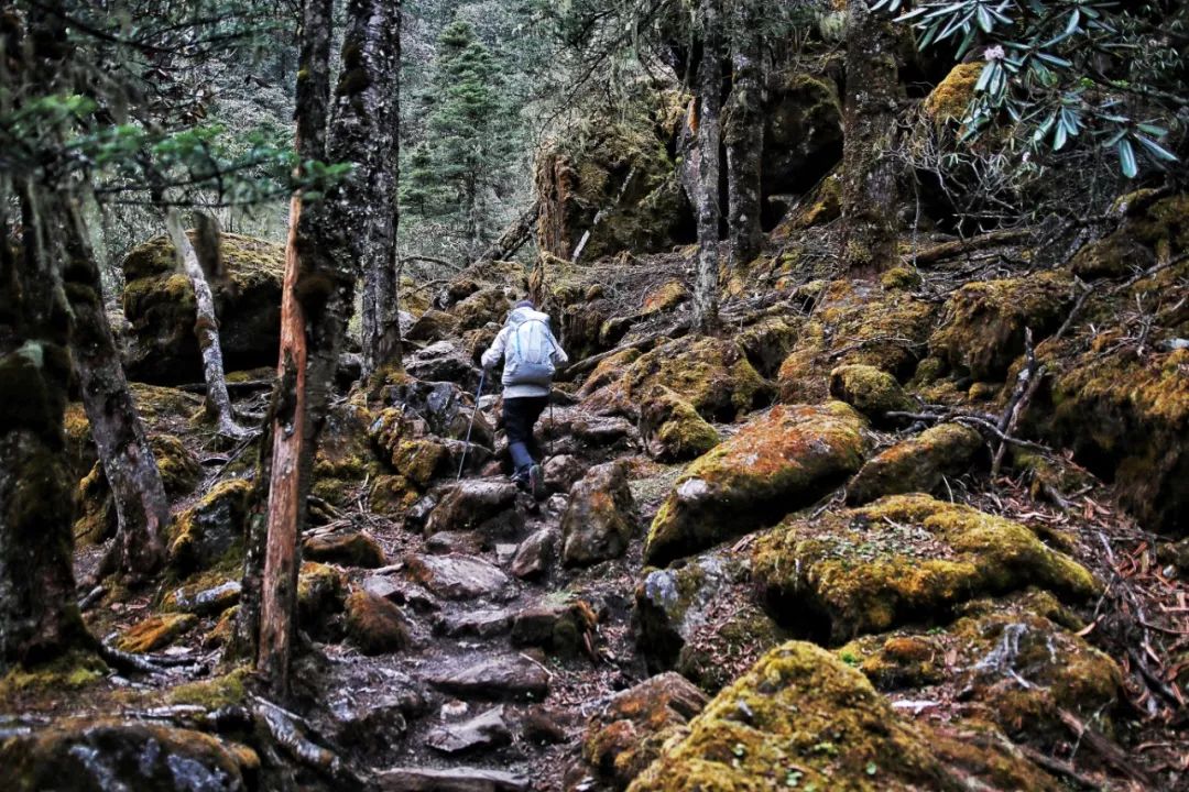 你有你的Lv，我有我的OSPREY。不是很贵，但是很轻。安排！！