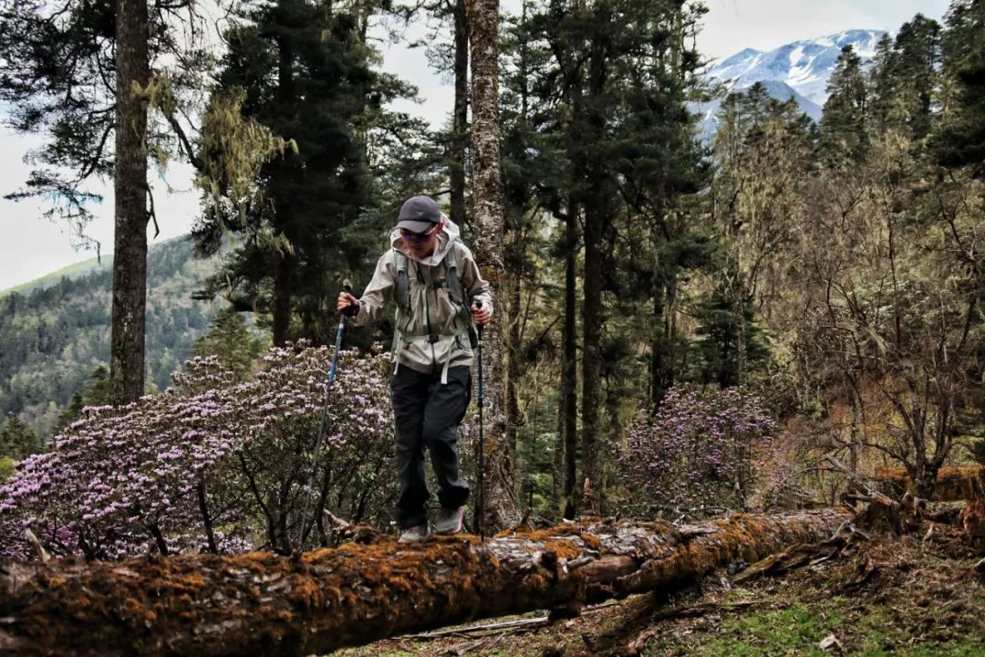 你有你的Lv，我有我的OSPREY。不是很贵，但是很轻。安排！！
