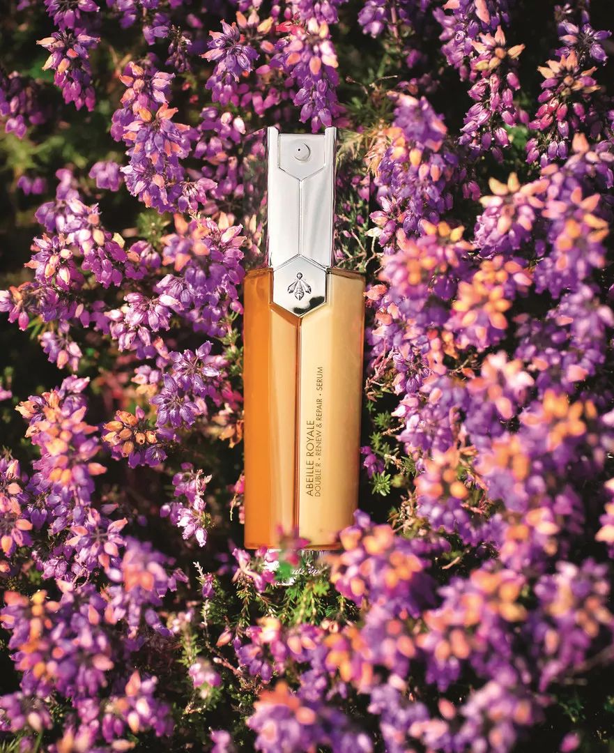 鲜货|今年520你想跟谁锁？