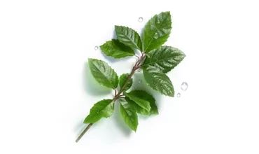 鲜货|今年520你想跟谁锁？