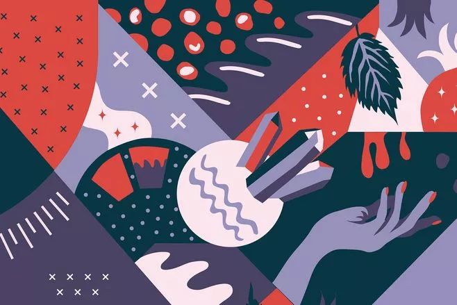 【封面】开宠物店暴利?全案解析宠物洗护美容、食品用品、寄养售卖…揭秘宠物经济令人费解的低收入真相