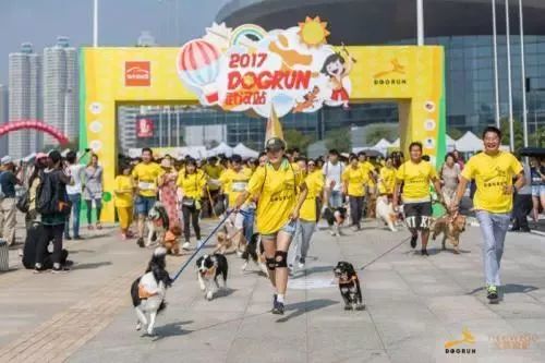 【封面】开宠物店暴利?全案解析宠物洗护美容、食品用品、寄养售卖…揭秘宠物经济令人费解的低收入真相