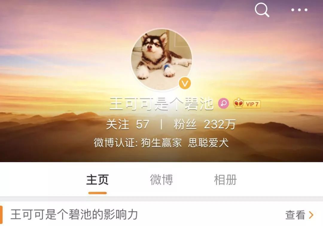 【封面】开宠物店暴利?全案解析宠物洗护美容、食品用品、寄养售卖…揭秘宠物经济令人费解的低收入真相