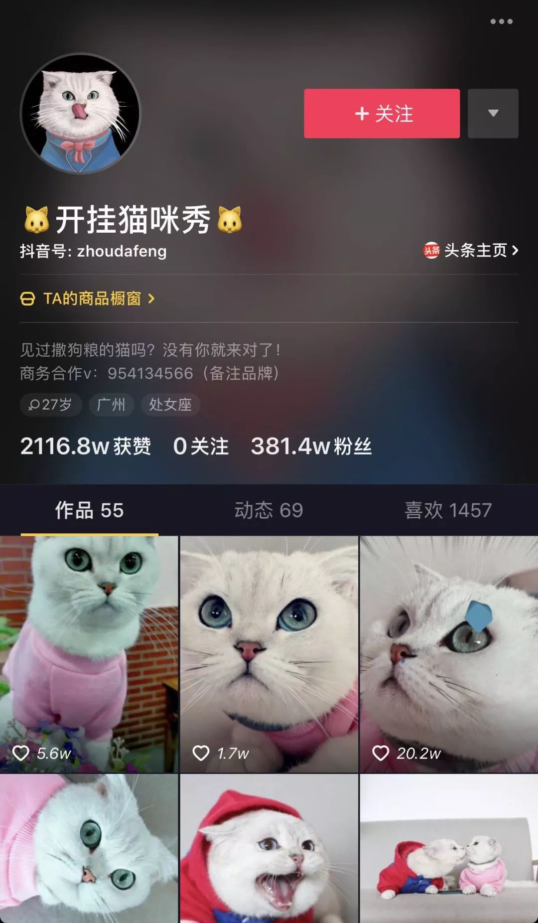 【封面】开宠物店暴利?全案解析宠物洗护美容、食品用品、寄养售卖…揭秘宠物经济令人费解的低收入真相