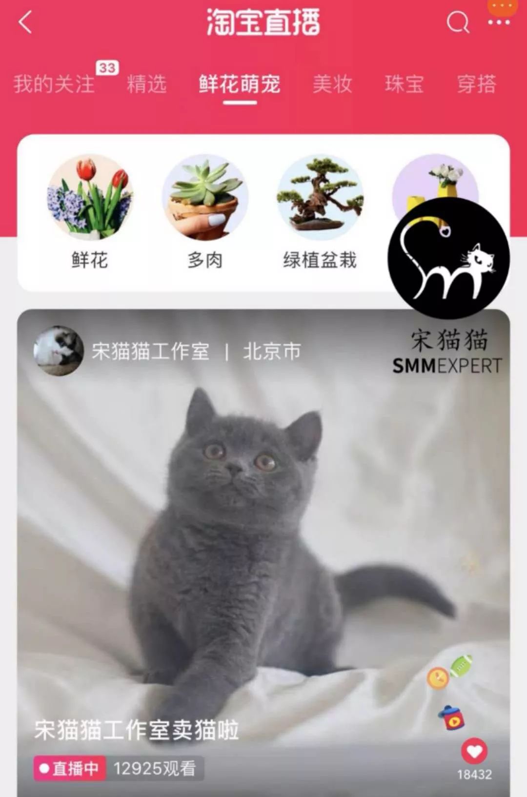 【封面】开宠物店暴利?全案解析宠物洗护美容、食品用品、寄养售卖…揭秘宠物经济令人费解的低收入真相